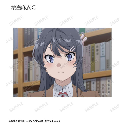 『青春ブタ野郎はおでかけシスターの夢を見ない』トレーディング場面写ブロマイド(単位/BOX)【202604再販】
