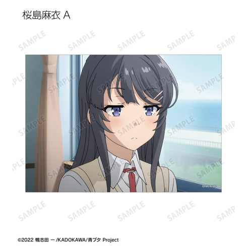 『青春ブタ野郎はバニーガール先輩の夢を見ない』トレーディング場面写ブロマイド(単位/BOX)