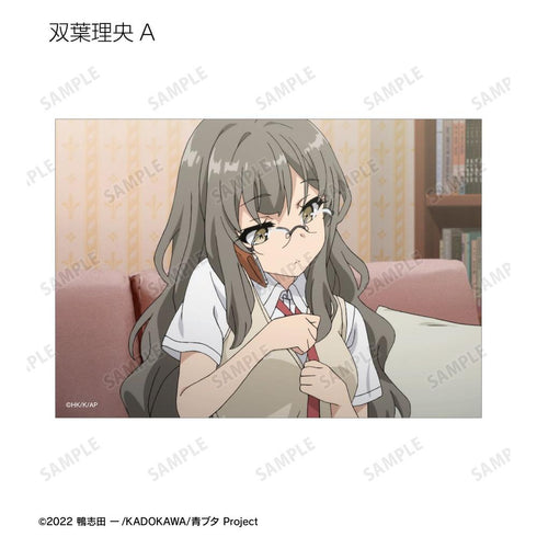 『青春ブタ野郎はバニーガール先輩の夢を見ない』トレーディング場面写ブロマイド(単位/BOX)【202604再販】