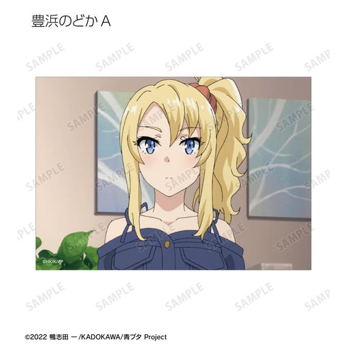 『青春ブタ野郎はバニーガール先輩の夢を見ない』トレーディング場面写ブロマイド(単位/BOX)【202509再販】