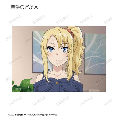 『青春ブタ野郎はバニーガール先輩の夢を見ない』トレーディング場面写ブロマイド(単位/BOX)【202604再販】