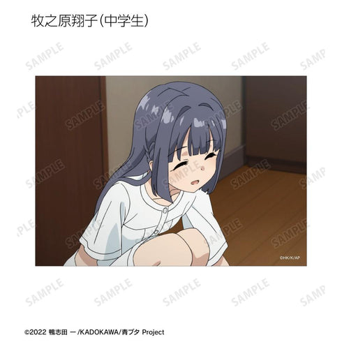 『青春ブタ野郎はバニーガール先輩の夢を見ない』トレーディング場面写ブロマイド(単位/BOX)【202604再販】