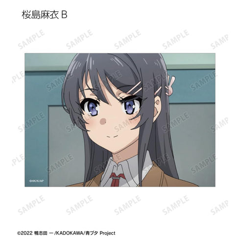 『青春ブタ野郎はバニーガール先輩の夢を見ない』トレーディング場面写ブロマイド(単位/BOX)