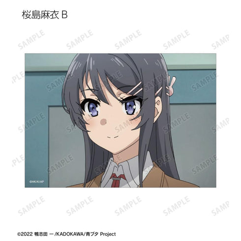 『青春ブタ野郎はバニーガール先輩の夢を見ない』トレーディング場面写ブロマイド(単位/BOX)【202604再販】