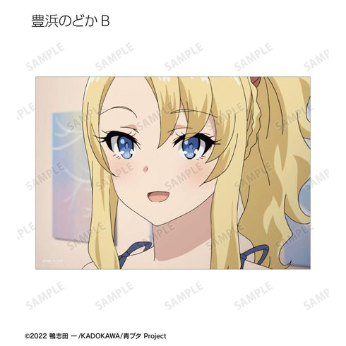 『青春ブタ野郎はバニーガール先輩の夢を見ない』トレーディング場面写ブロマイド(単位/BOX)【202604再販】