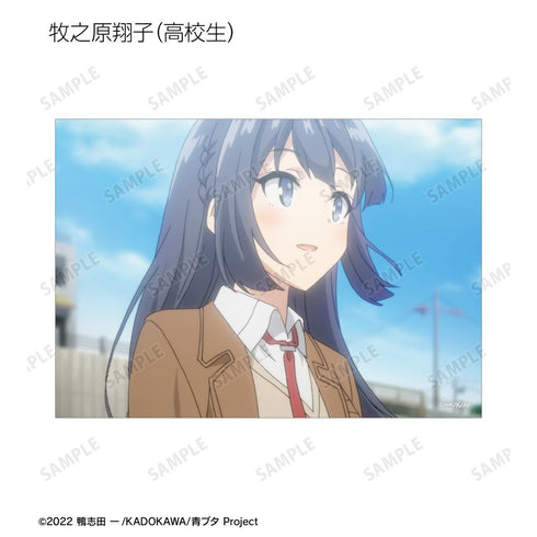『青春ブタ野郎はバニーガール先輩の夢を見ない』トレーディング場面写ブロマイド(単位/BOX)