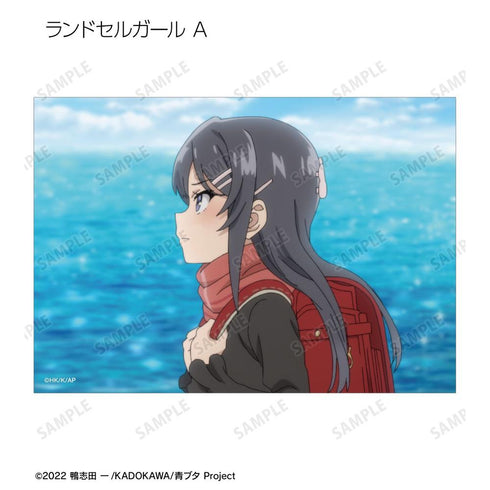 『青春ブタ野郎はランドセルガールの夢を見ない』トレーディング場面写ブロマイド(単位/BOX)【202604再販】