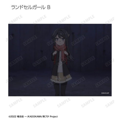 『青春ブタ野郎はランドセルガールの夢を見ない』トレーディング場面写ブロマイド(単位/BOX)【202604再販】