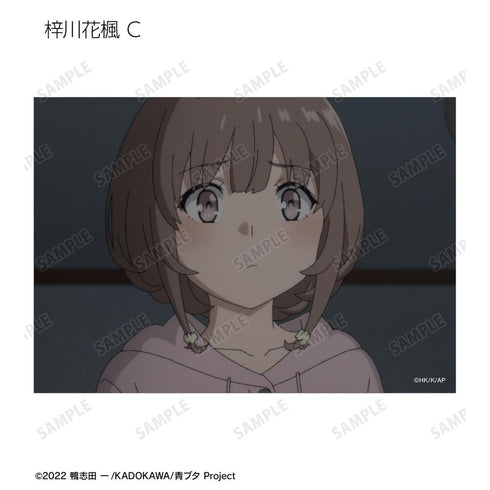 『青春ブタ野郎はランドセルガールの夢を見ない』トレーディング場面写ブロマイド(単位/BOX)