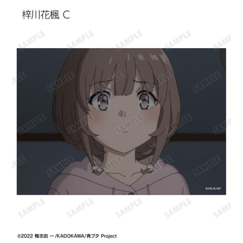 『青春ブタ野郎はランドセルガールの夢を見ない』トレーディング場面写ブロマイド(単位/BOX)【202604再販】