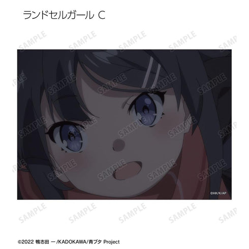 『青春ブタ野郎はランドセルガールの夢を見ない』トレーディング場面写ブロマイド(単位/BOX)【202604再販】