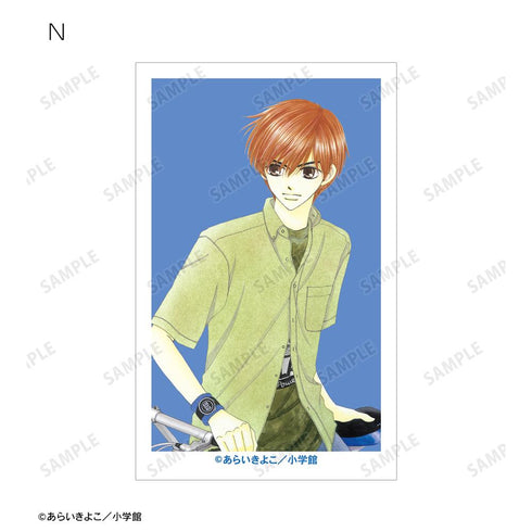 『Dr.リンにきいてみて!』トレーディングイラストカード(単位/BOX)