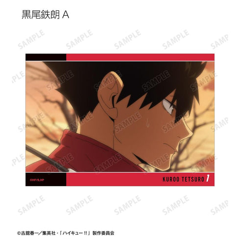 "Haikyu!!" Trading Card Set (L-Size, Scene Photos) (Sold by the box)