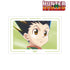 『HUNTER×HUNTER』ゴン Ani-Art aqua label 第2弾 A3マット加工ポスター