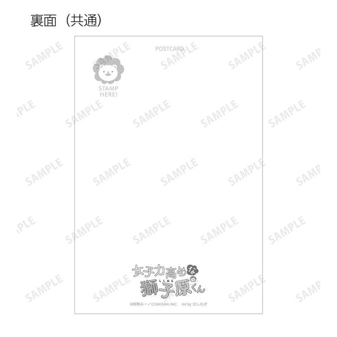 『女子力高めな獅子原くん』相舞 みー先生 描き下ろし シティポップver.&ほしねぎさんイラスト Y2Kver. トレーディングポストカード(単位/BOX)