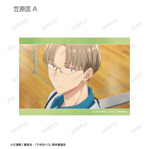 『アオのハコ』トレーディング場面写ブロマイド3枚セット(単位/BOX)【202602再販】