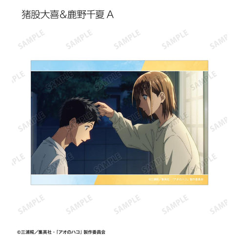 『アオのハコ』トレーディング場面写ブロマイド3枚セット(単位/BOX)
