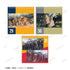 "Haikyu!!" Daily Haikyu!! Calendar