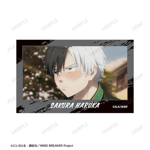 『WIND BREAKER』桜 遥 場面写イラストカード 2枚セット