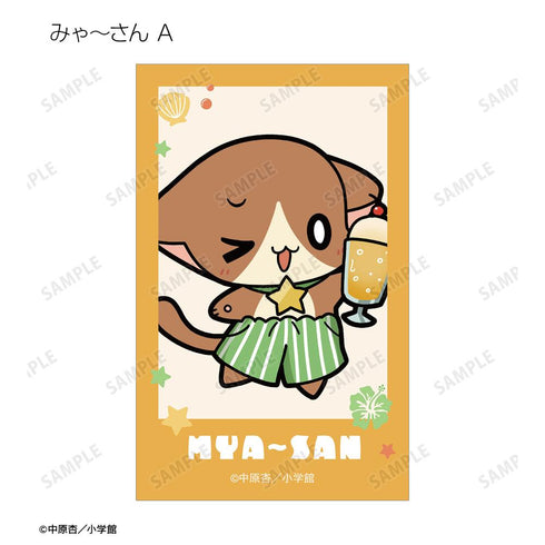『きらりん☆レボリューション』トレーディング ちびキャラ 夏ver. インスタントカメラ風イラストカード(単位/BOX)