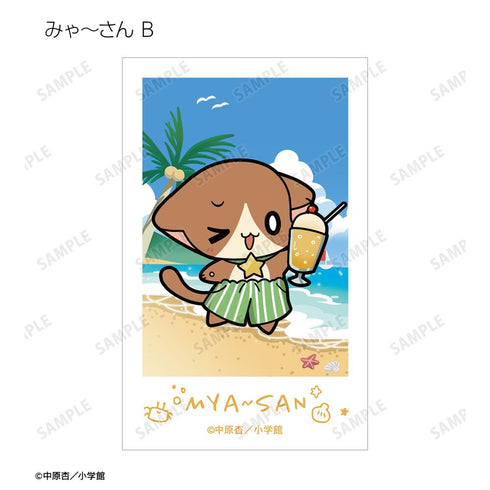 『きらりん☆レボリューション』トレーディング ちびキャラ 夏ver. インスタントカメラ風イラストカード(単位/BOX)
