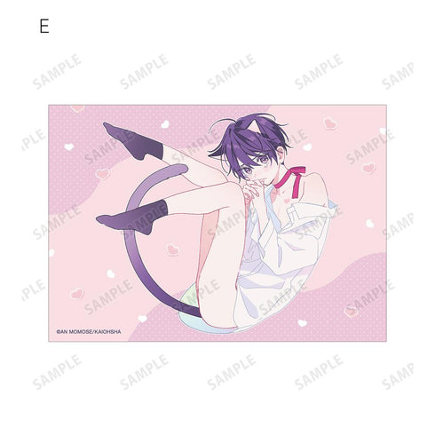 『ナカまであいして』トレーディングブロマイド(単位/BOX)
