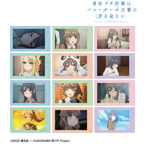 『青春ブタ野郎はバニーガール先輩の夢を見ない』トレーディング場面写インスタントカメラ風イラストカード(単位/BOX)