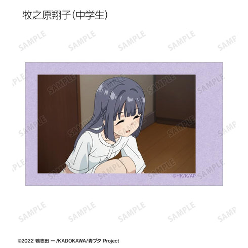 『青春ブタ野郎はバニーガール先輩の夢を見ない』トレーディング場面写インスタントカメラ風イラストカード(単位/BOX)