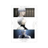 『東京喰種トーキョーグール:re』有馬貴将 場面写A3マット加工ポスター