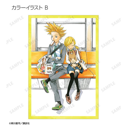 『四月は君の嘘』トレーディングクリアカード(単位/BOX)