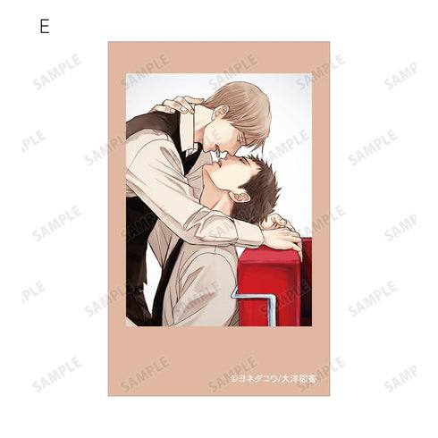 『囀る鳥は羽ばたかない』トレーディングインスタントカメラ風イラストカード(単位/BOX)