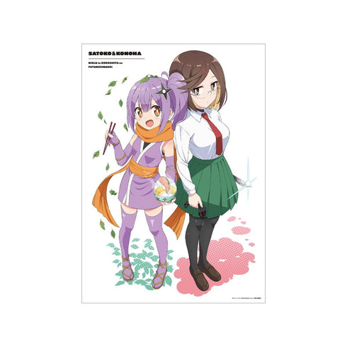 『忍者と殺し屋のふたりぐらし』ティザービジュアル A3マット加工ポスター
