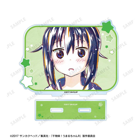 『干物妹!うまるちゃんR』本場 切絵 Ani-Art BIGアクリルスタンド【202512再販】
