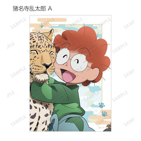 《忍者小丸子亂太郎》全新繪製 大家一起進行飼育實習篇 ver. 收藏卡 ver.A(單位/盒)【202605再版】