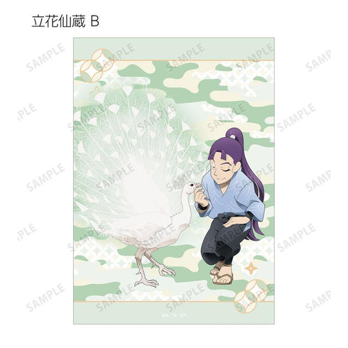 《忍者小丸子亂太郎》全新繪製 大家一起進行飼育實習篇 ver. 收藏卡 ver.A(單位/盒)【202605再版】