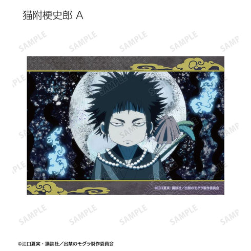 《被禁入的鼹鼠》猫附梗史郎 场景写真明信片2张套装【202604再版】