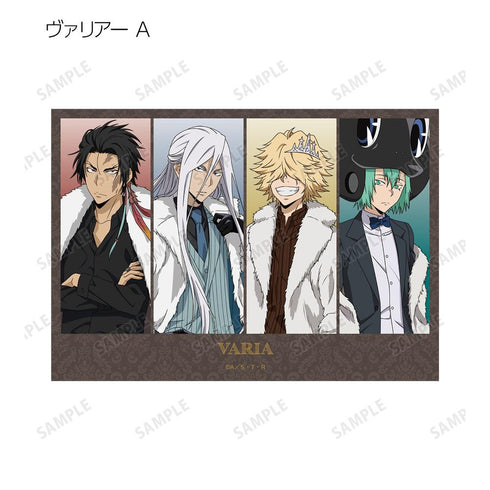 『家庭教師ヒットマンREBORN!』描き下ろし 毛皮コート×スーツver. トレーディングブロマイド(単位/BOX)