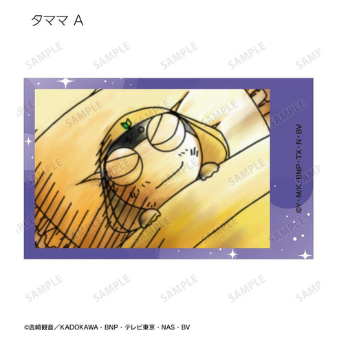 『ケロロ軍曹』トレーディング場面写イラストカード3枚セット(単位/BOX)