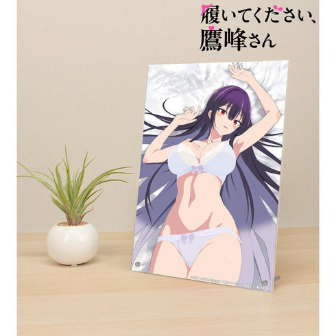『履いてください、鷹峰さん』鷹峰高嶺 A4アクリルパネル