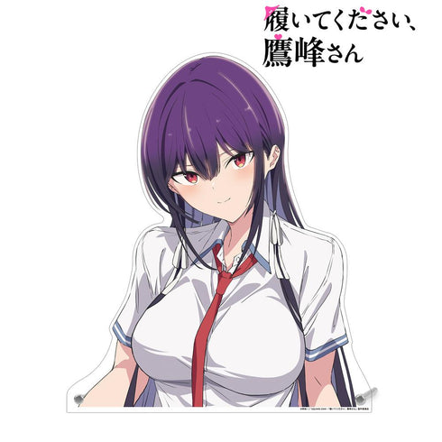 『履いてください、鷹峰さん』ティザービジュアル 特大ダイカットアクリルパネル