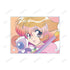 『コレクター・ユイ』コレクター・ユイ Ani-Art clear label A6アクリルパネル