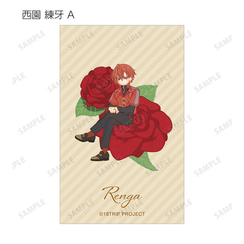 『18TRIP』トレーディング Botania イラストカード ver.A(単位/BOX)