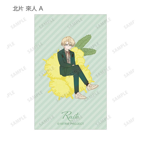 『18TRIP』トレーディング Botania イラストカード ver.B(単位/BOX)