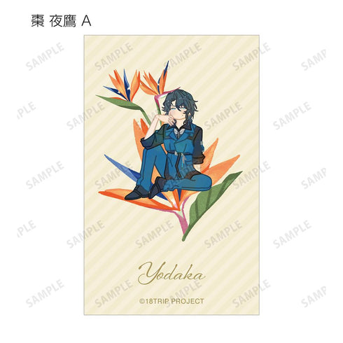 『18TRIP』トレーディング Botania イラストカード ver.B(単位/BOX)