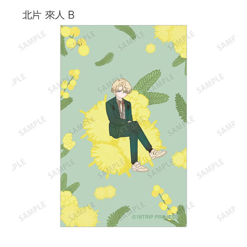『18TRIP』トレーディング Botania イラストカード ver.B(単位/BOX)