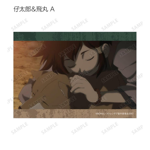 『ストレンヂア -無皇刃譚-』トレーディング場面写ブロマイド(単位/BOX)