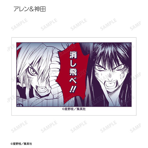 『D.Gray-man』トレーディングイラストカード(単位/BOX)