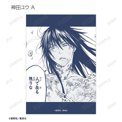 『D.Gray-man』トレーディングブロマイド(単位/BOX)【202604再販】