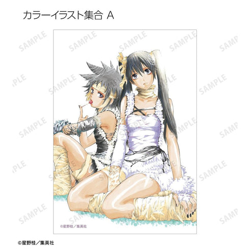 『D.Gray-man』トレーディングブロマイド(単位/BOX)【202604再販】