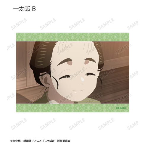 『しゃばけ』トレーディング場面写ブロマイド3枚セット(単位/BOX)